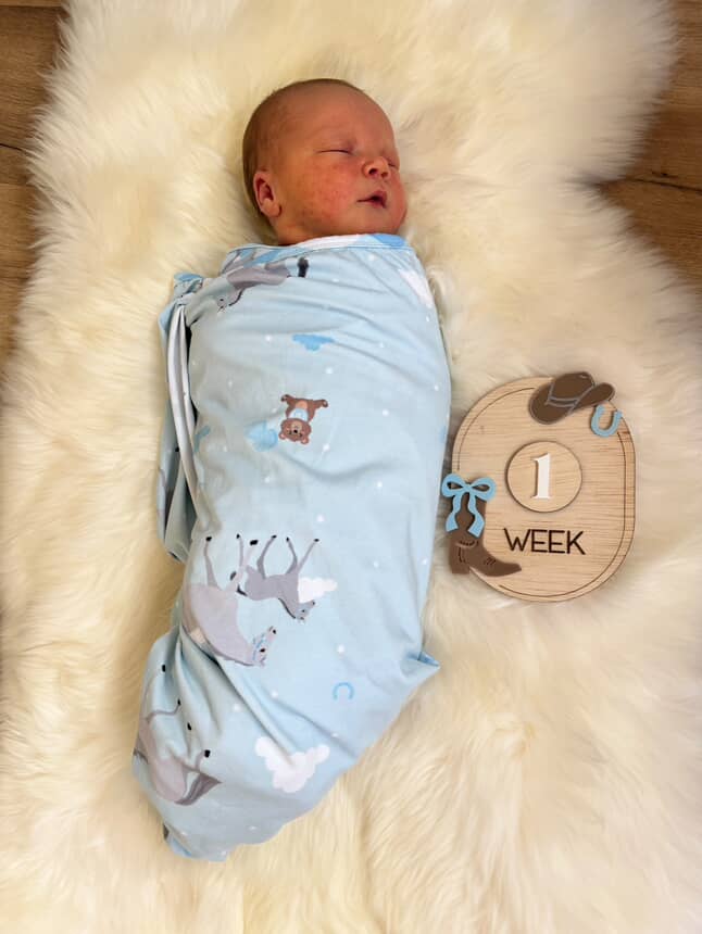 Western interchangeable milestone plaques bundle